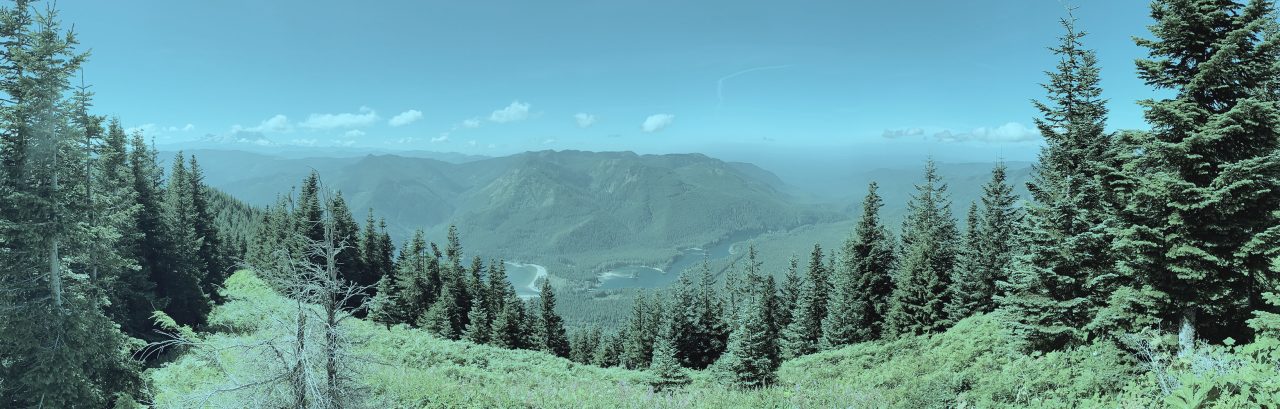 Church in Evergreen, Washington